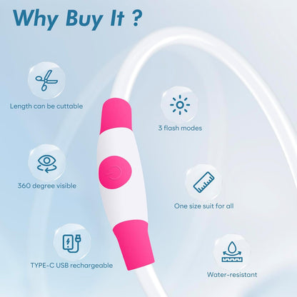 LED Dog Collar — Rechargeable, Waterproof & Customizable Length | Safe Night Walks for Dogs & Puppies