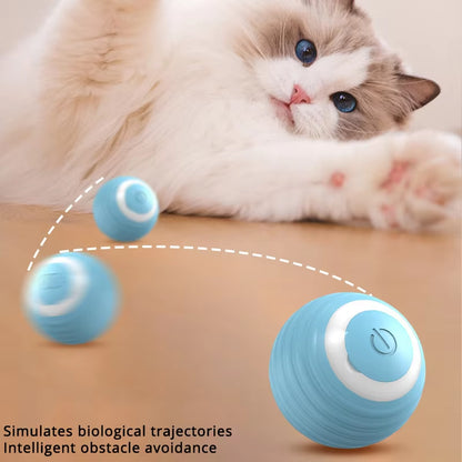 USB Rechargeable Interactive Cat Ball - Fast Rolling Automatic Motion Toy for Indoor Play