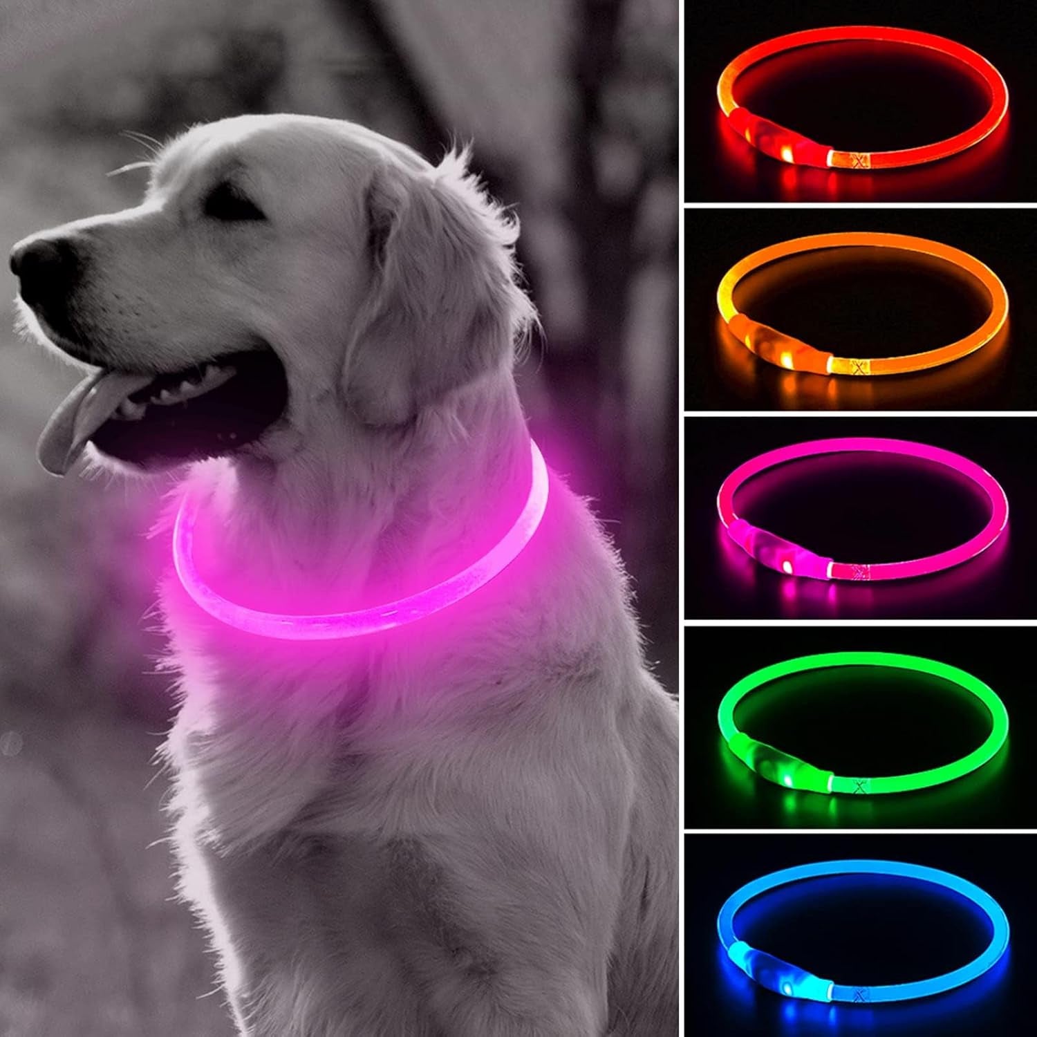 LED Dog Collar — Rechargeable, Waterproof & Customizable Length | Safe Night Walks for Dogs & Puppies