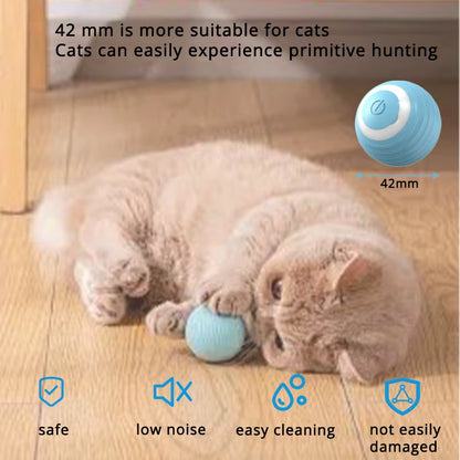USB Rechargeable Interactive Cat Ball - Fast Rolling Automatic Motion Toy for Indoor Play
