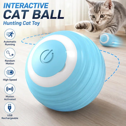 USB Rechargeable Interactive Cat Ball - Fast Rolling Automatic Motion Toy for Indoor Play